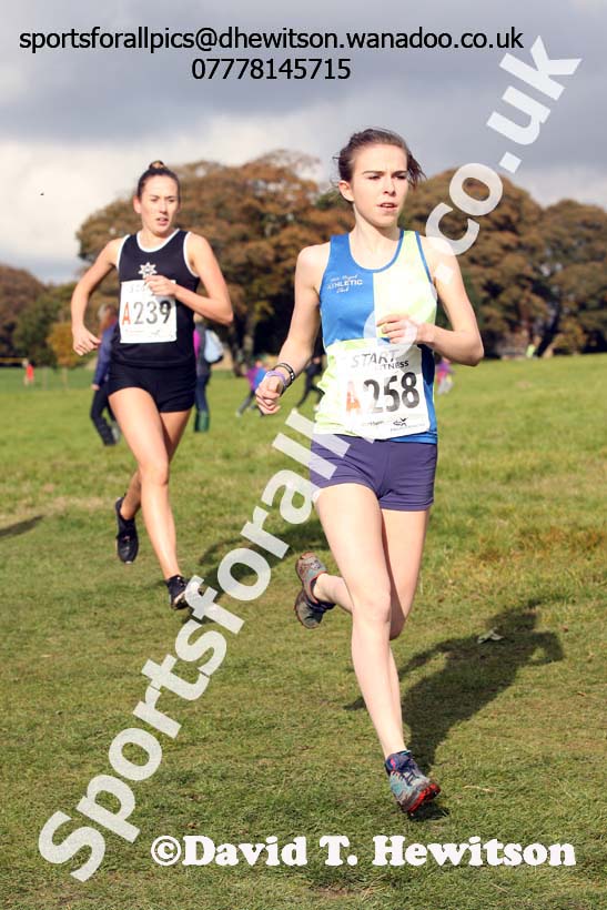 Senior womens Northern Cross Country Relays. Photo: David T. Hewitson/Sports for All Pics